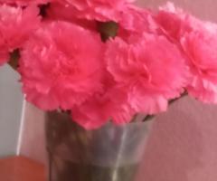 CACHONDAS SEXY REALIZÓ TODOS LOS SERVICIOS LLÁMAME MI AMOR Y TE INFORMO ESTOY 24 HORAS