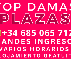 PLAZA CON ALOJAMIENTO GRATIS Y ALTOS ÍNGRESOS