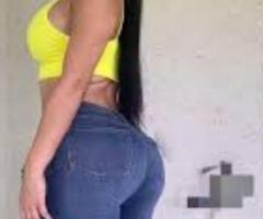 Novedad recién llegada