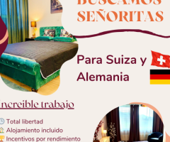 Buscamos señoritas para clubs en Suiza