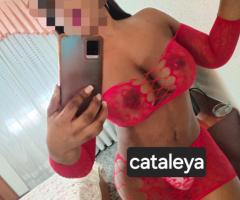 CATALEYA PURO FUEGO.SOLO SALIDAS